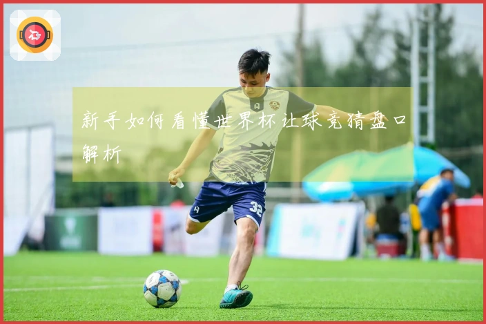 新手如何看懂世界杯让球竞猜盘口解析