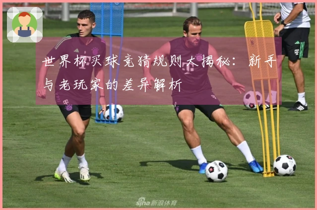 世界杯买球竞猜规则大揭秘：新手与老玩家的差异解析