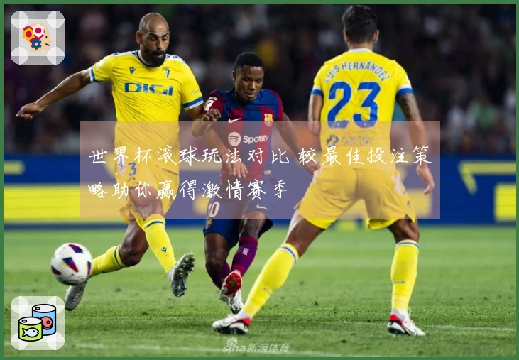 世界杯滚球玩法对比 较最佳投注策略助你赢得激情赛季