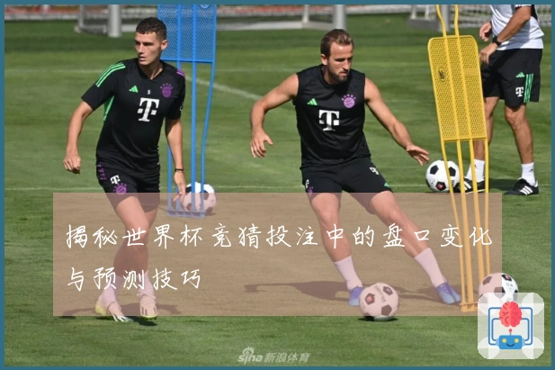 揭秘世界杯竞猜投注中的盘口变化与预测技巧