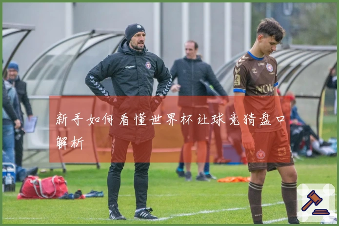 新手如何看懂世界杯让球竞猜盘口解析