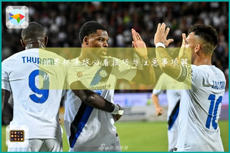 世界杯滚球必看技巧与注意事项解析