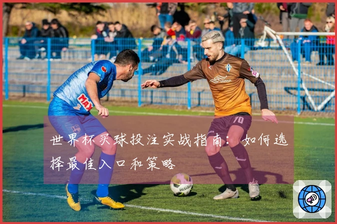 世界杯买球投注实战指南：如何选择最佳入口和策略