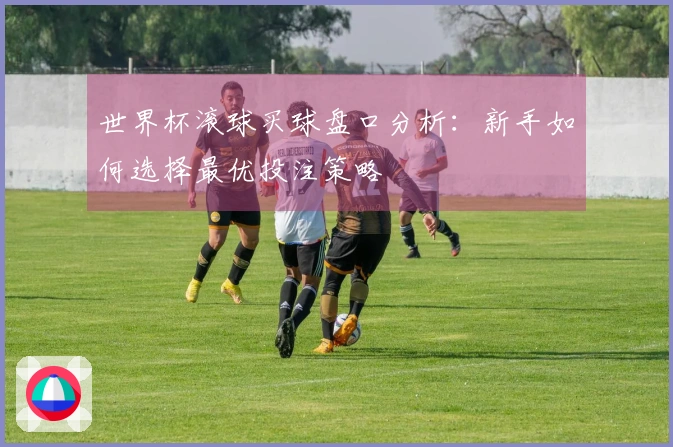 世界杯滚球买球盘口分析：新手如何选择最优投注策略