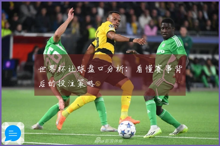 世界杯让球盘口分析：看懂赛事背后的投注策略