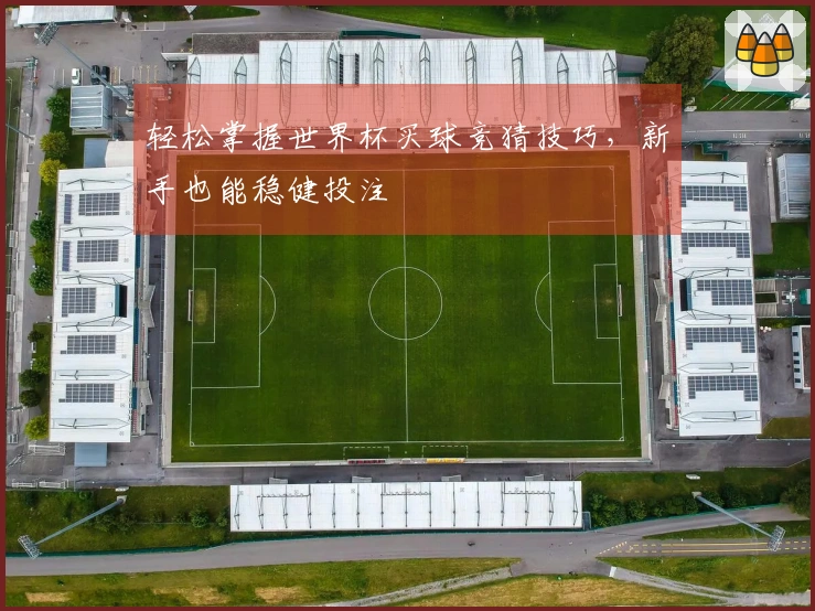 轻松掌握世界杯买球竞猜技巧，新手也能稳健投注