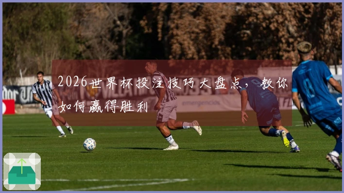 2026世界杯投注技巧大盘点，教你如何赢得胜利