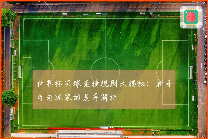 世界杯买球竞猜规则大揭秘：新手与老玩家的差异解析