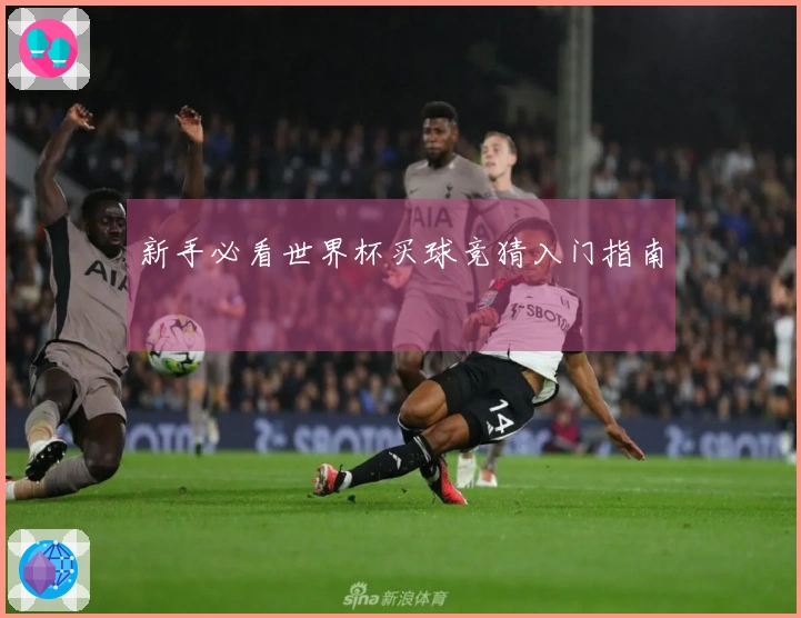 新手必看世界杯买球竞猜入门指南