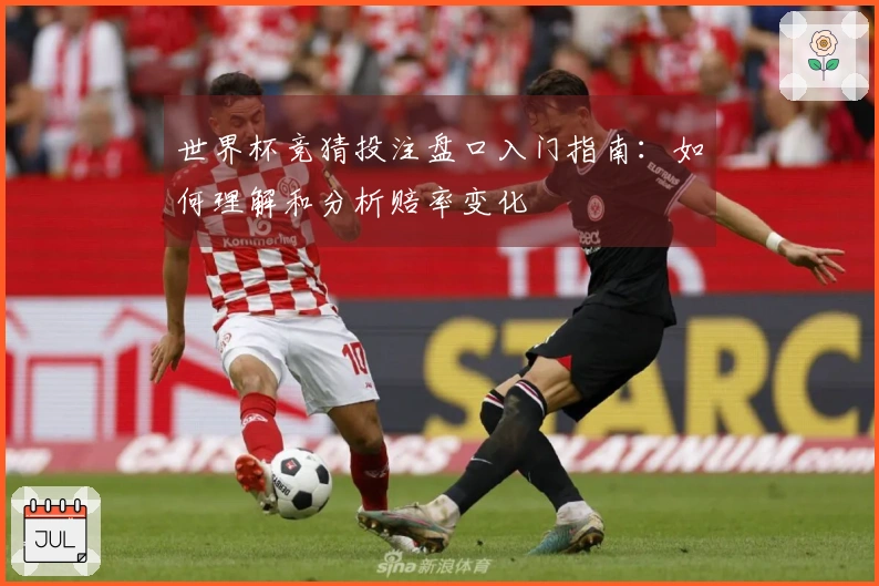 世界杯竞猜投注盘口入门指南：如何理解和分析赔率变化