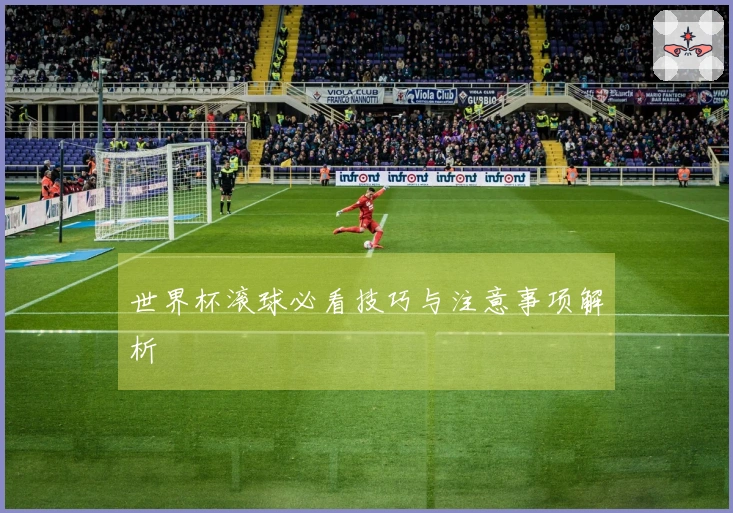 世界杯滚球必看技巧与注意事项解析