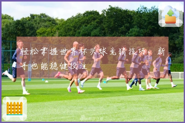 轻松掌握世界杯买球竞猜技巧，新手也能稳健投注